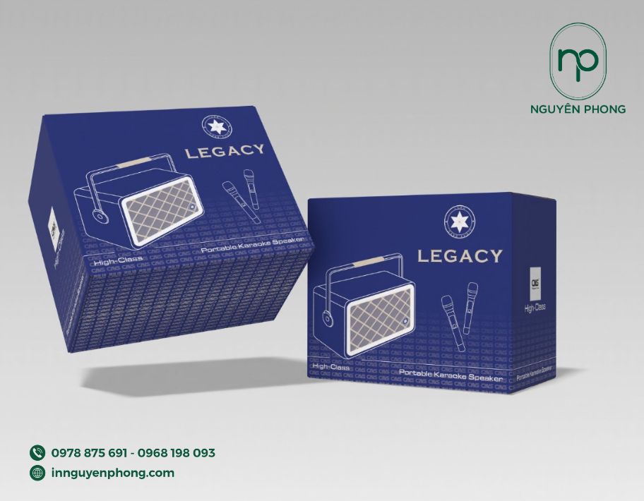 Mẫu thùng carton đựng loa in đơn giản
